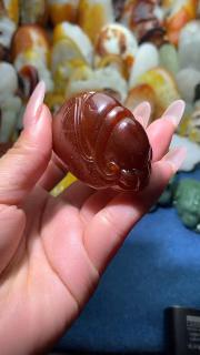 和田玉籽料知了挂件